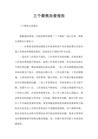 三个聚焦自查报告