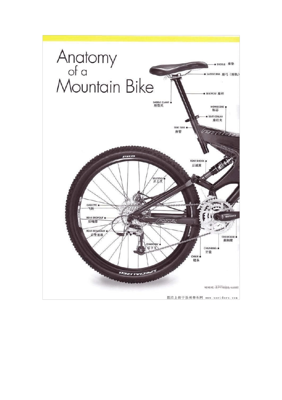 自行车25部件全图解_第3页