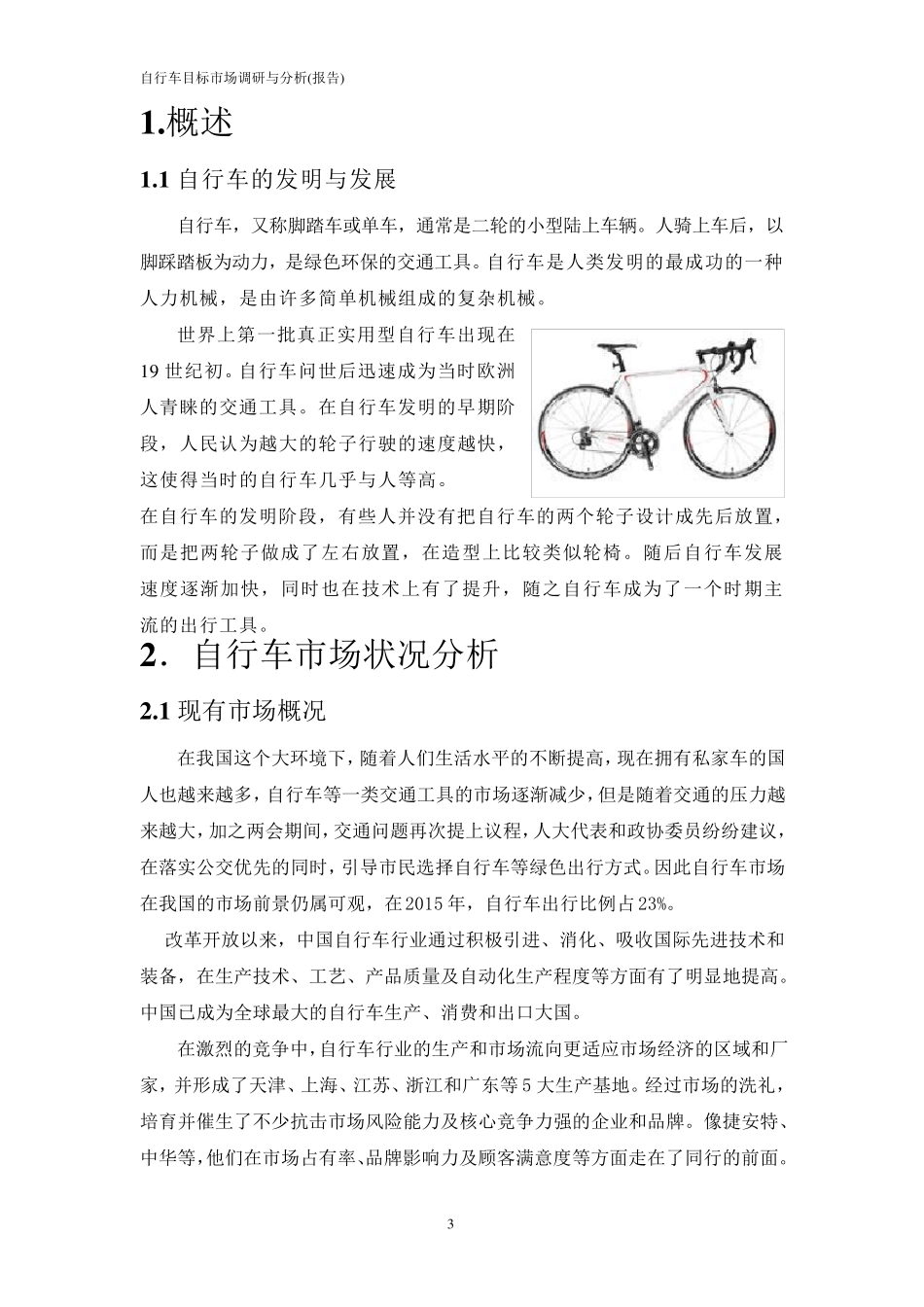 自行车市场调查报告_第3页