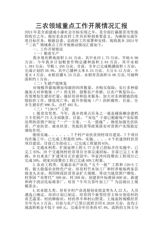 三农领域重点工作开展情况汇报