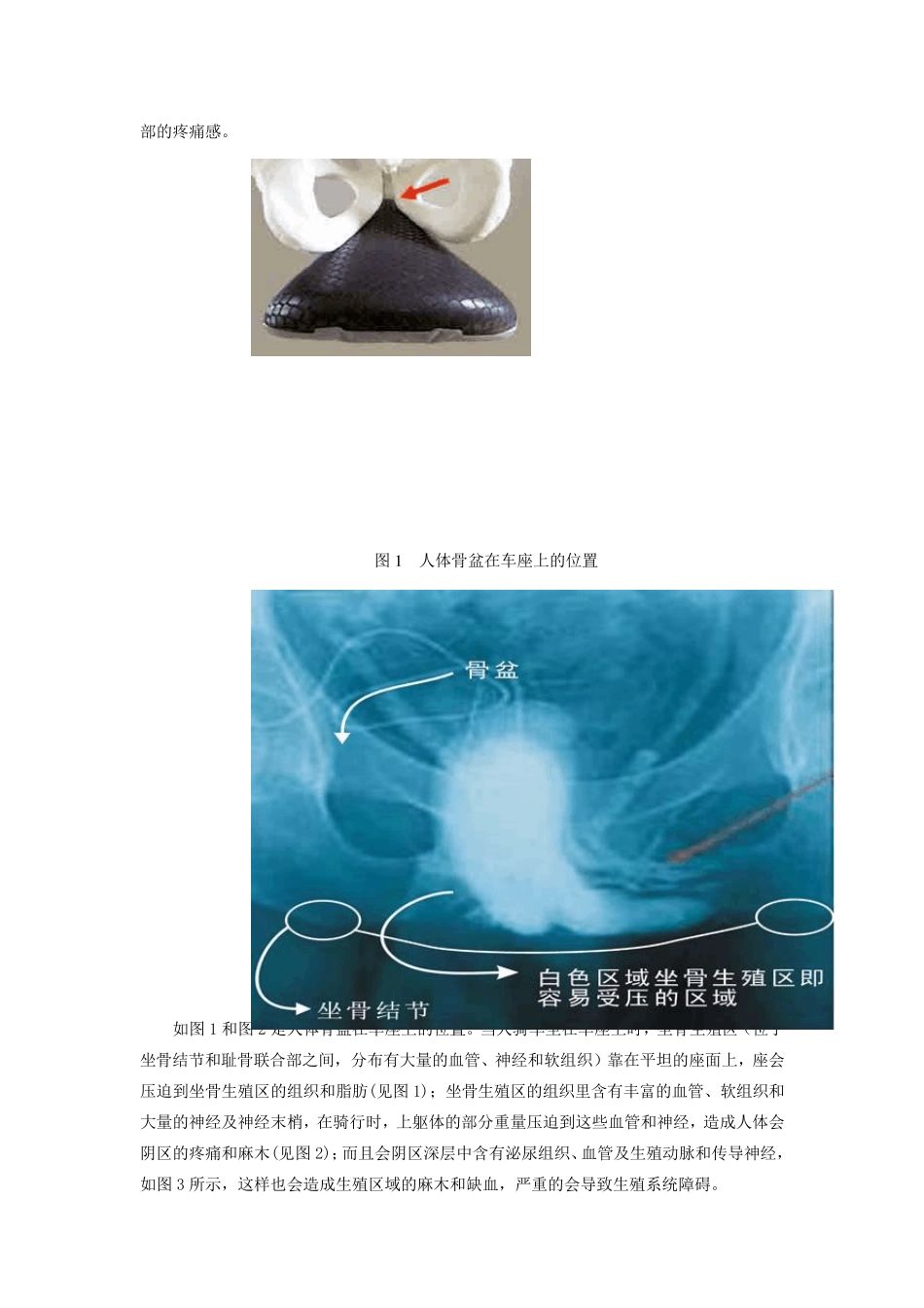 自行车设计的人因改进_第2页