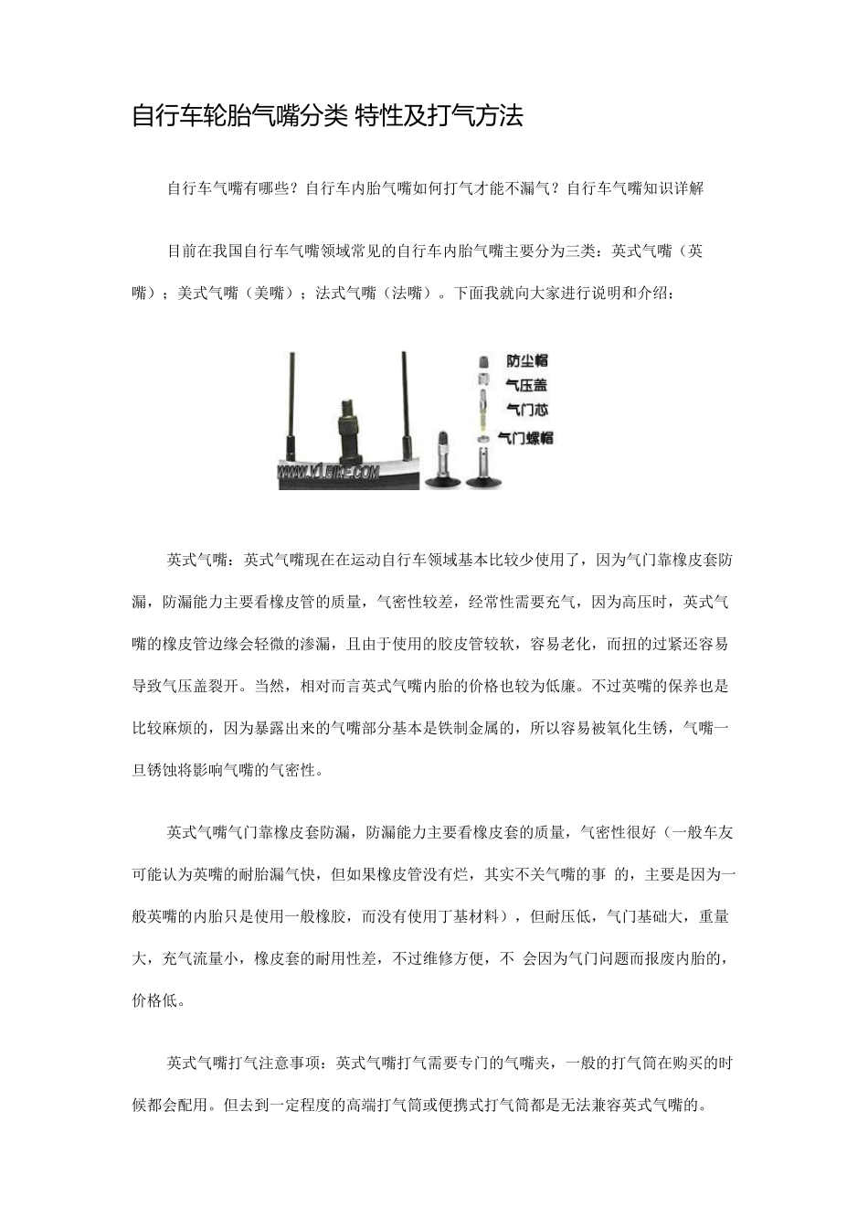 自行车轮胎气嘴分类特性及打气方法_第1页