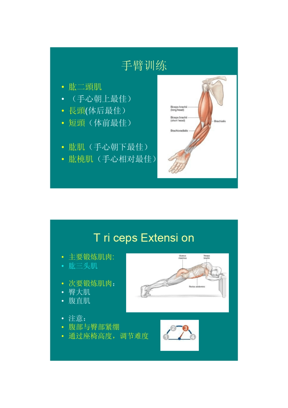 自身体重训练_第2页