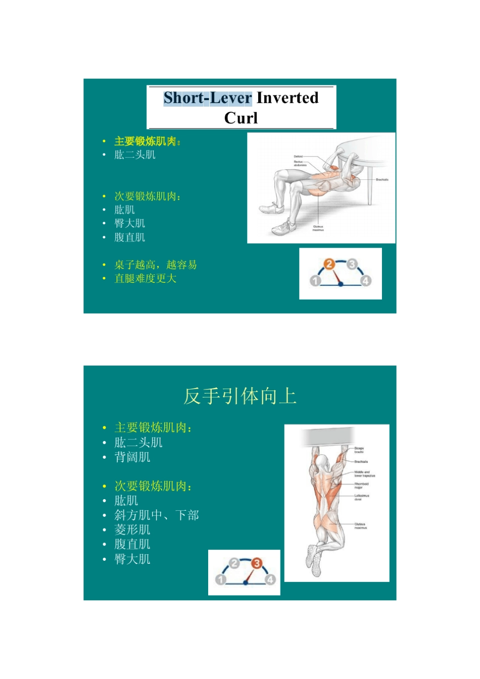 自身体重训练_第3页