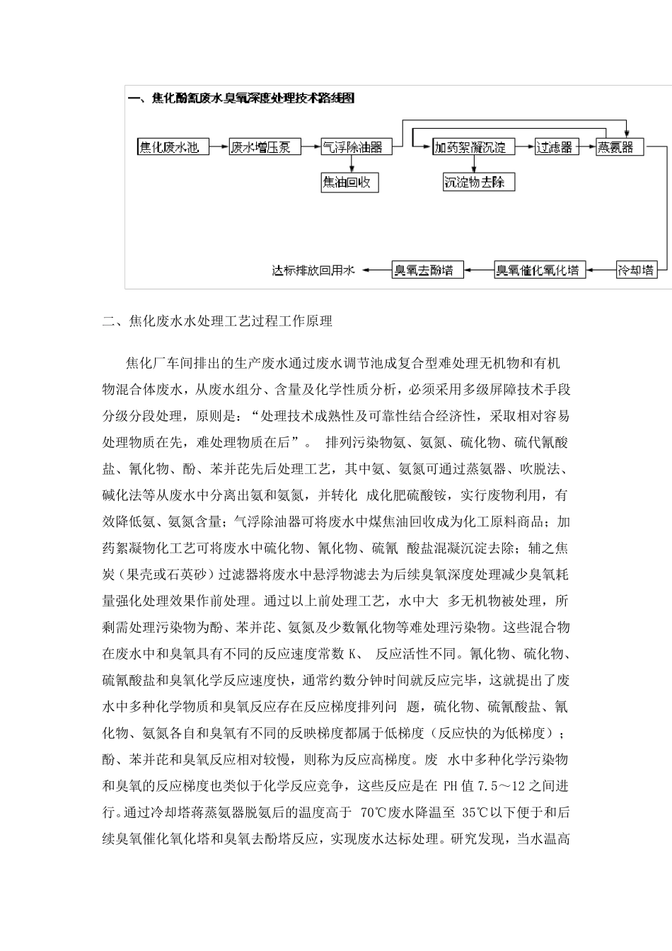 臭氧焦化废水处理_第1页