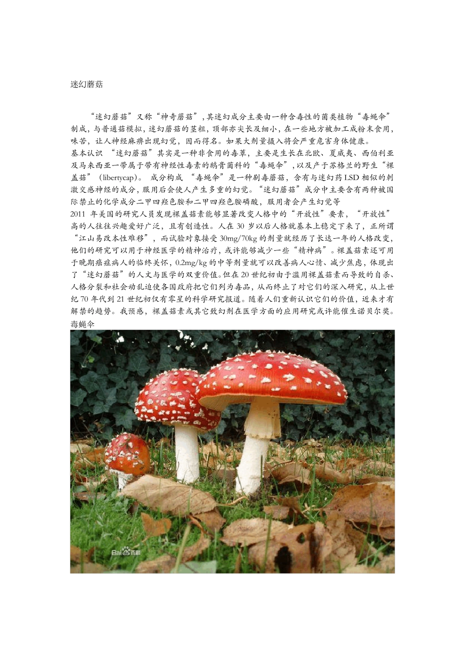 致幻毒草_科普_第1页