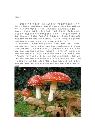 致幻毒草_科普