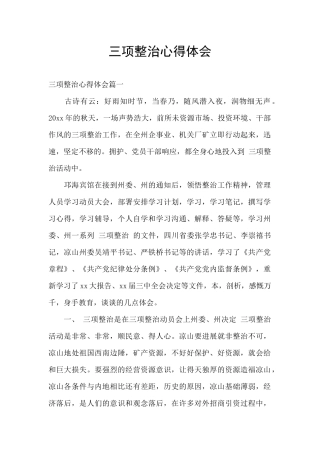 三项整治心得体会
