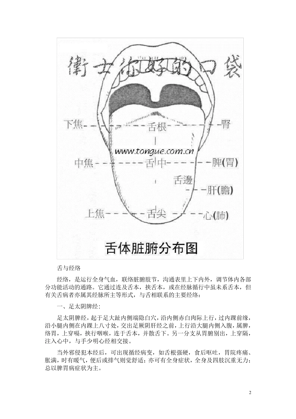 舌与脏腑经络之间的关系_第2页