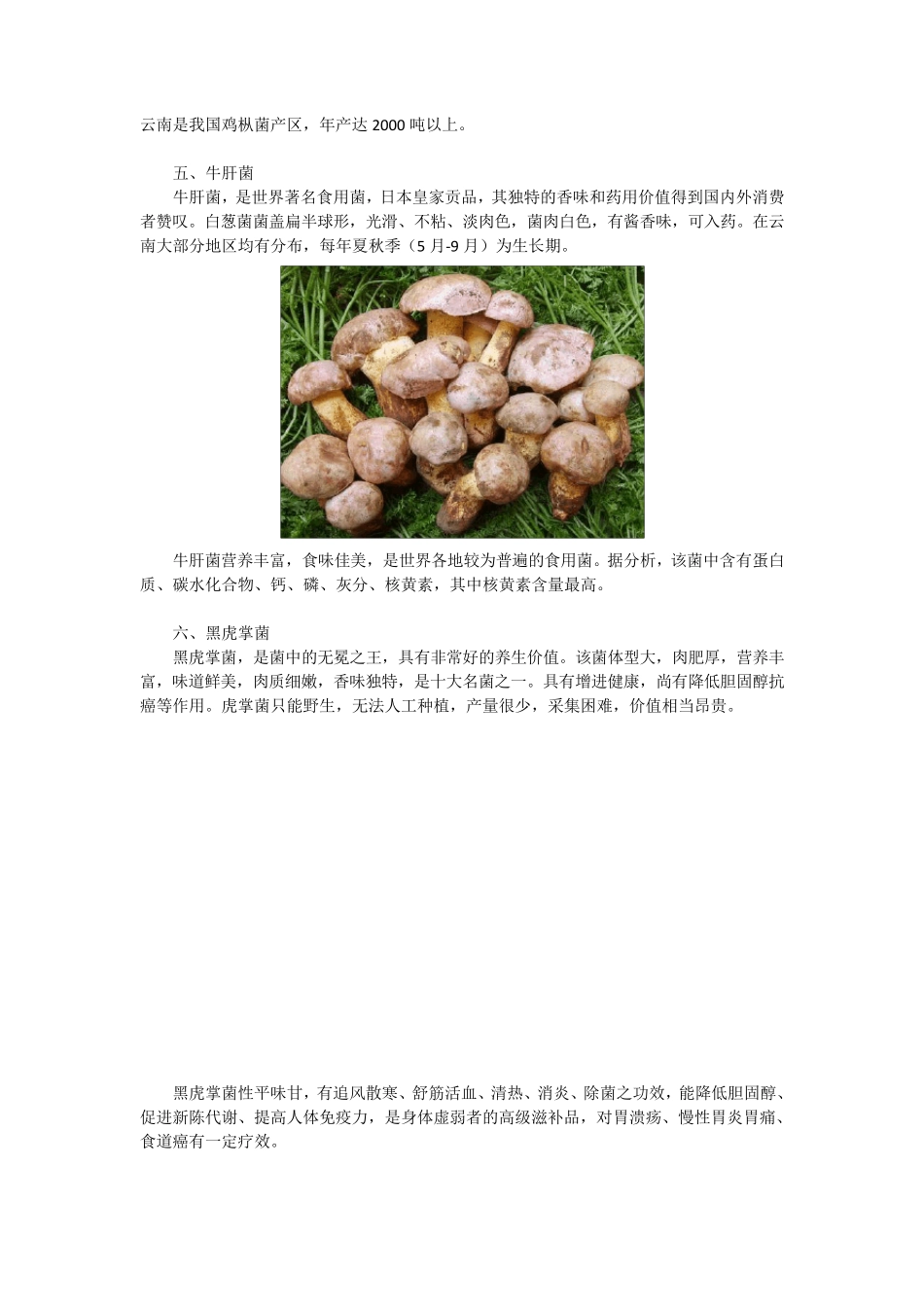 舌尖上的云南：10种名贵野生菌_第3页