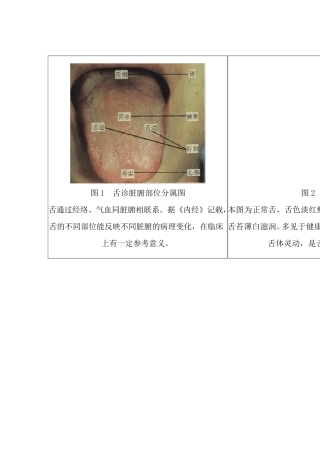 舌苔望诊图谱集