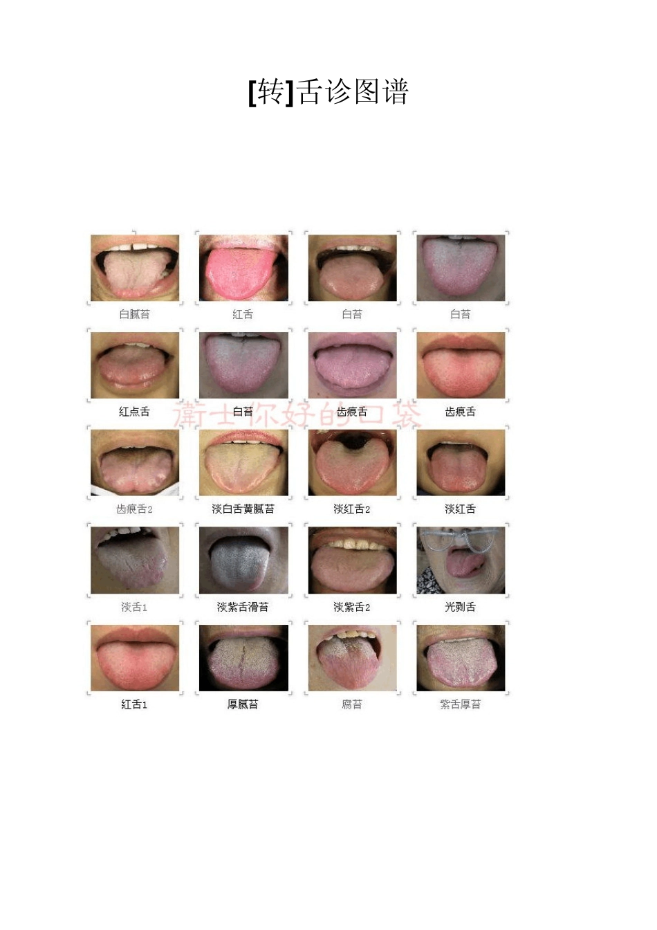 舌诊图谱(精华)_第1页