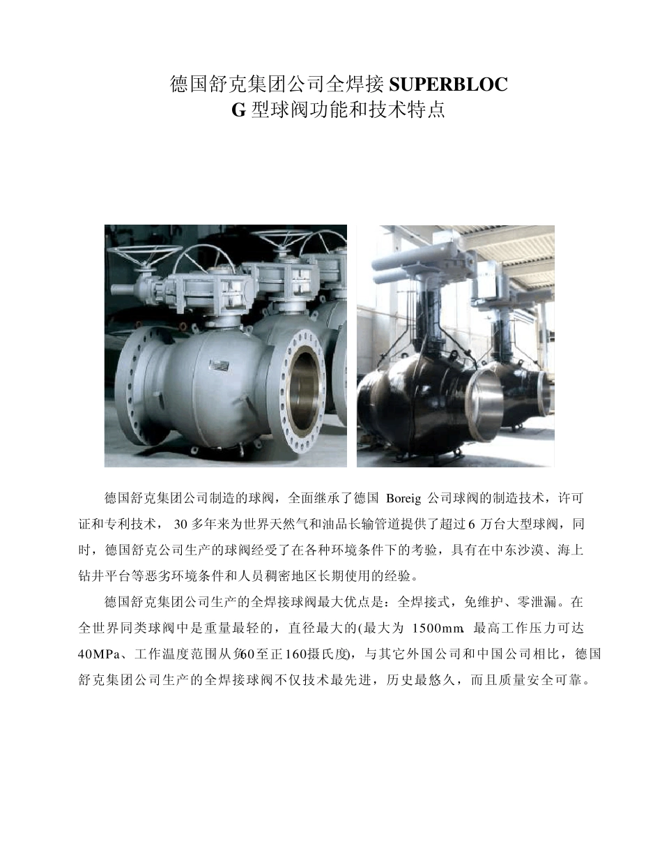舒克全焊接SUPERBLOCG型球阀功能和技术特点_第1页
