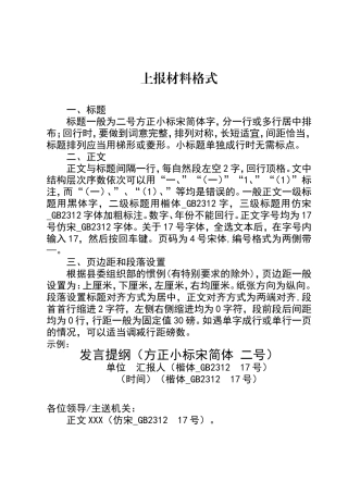 上报材料格式