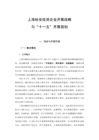上海裕安投资有限公司企业发展战略