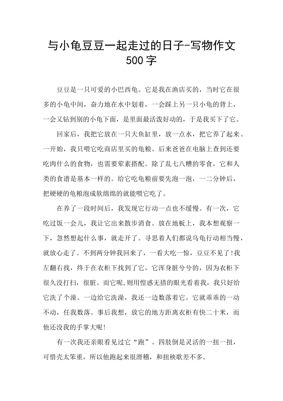 与小龟豆豆一起走过的日子_第1页