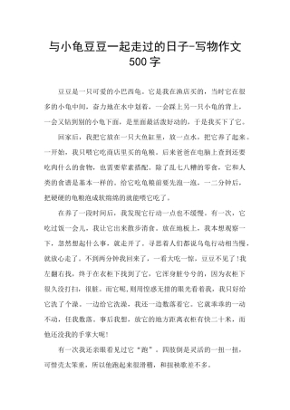 与小龟豆豆一起走过的日子