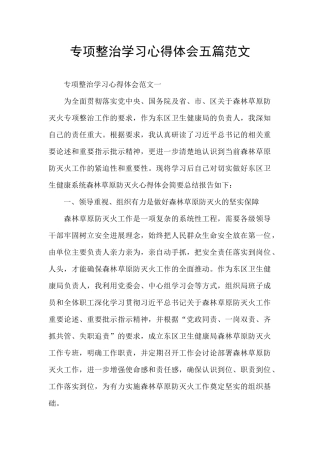专项整治学习心得体会五篇范文