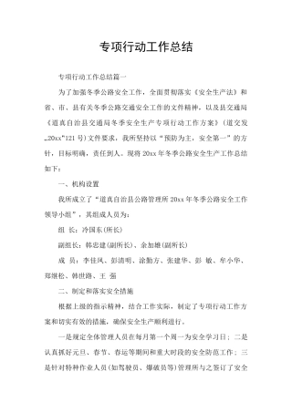 专项行动工作总结