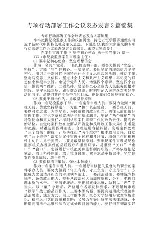专项行动部署工作会议表态发言3篇锦集