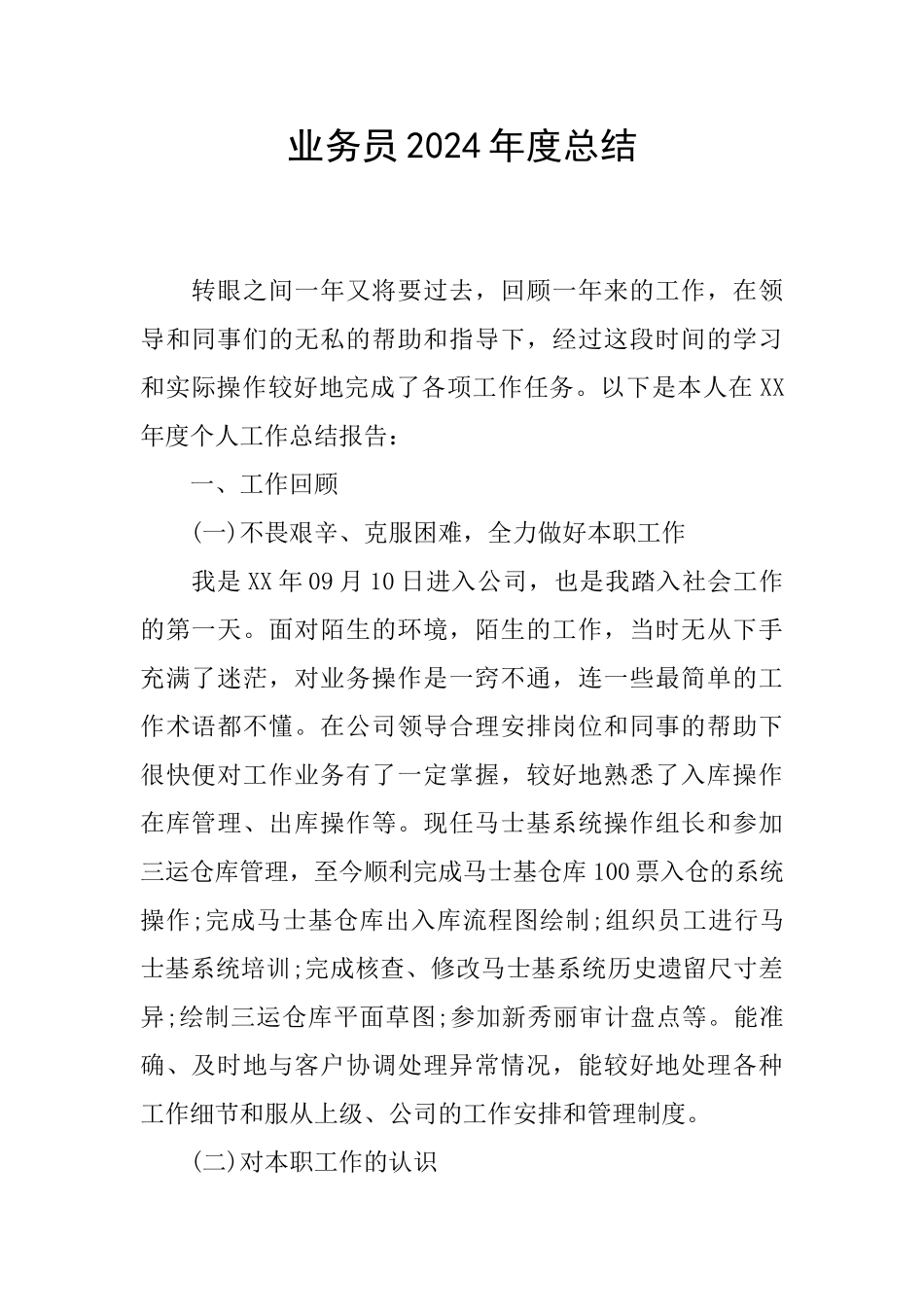 业务员2024年度总结_第1页