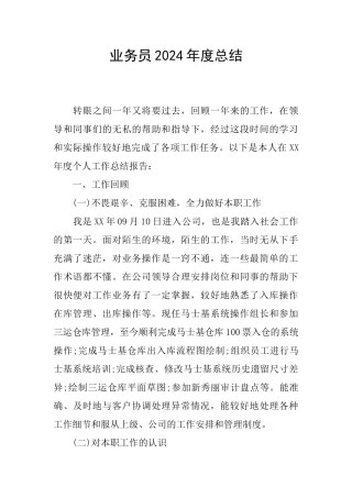 业务员2024年度总结