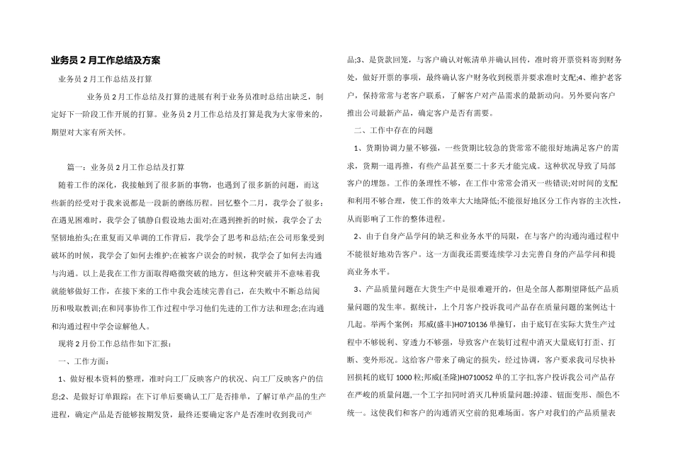 业务员2月工作总结及计划_第1页