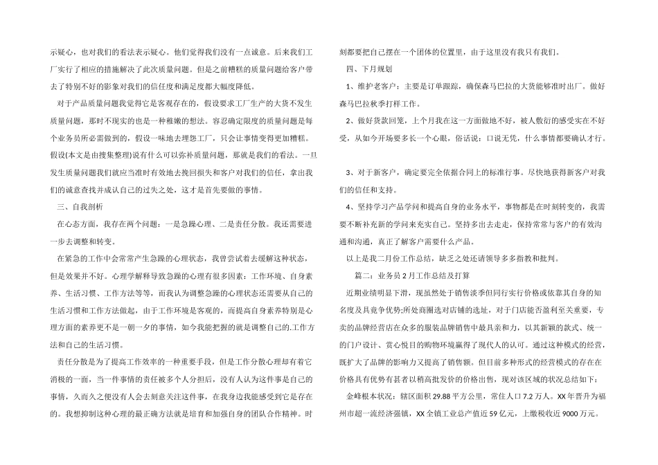 业务员2月工作总结及计划_第2页