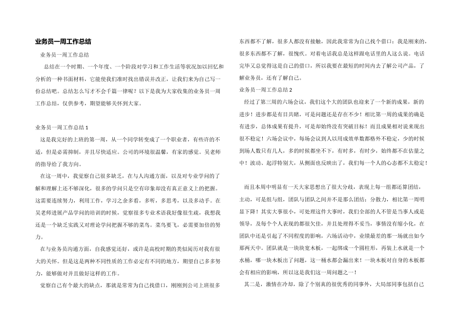业务员一周工作总结_第1页
