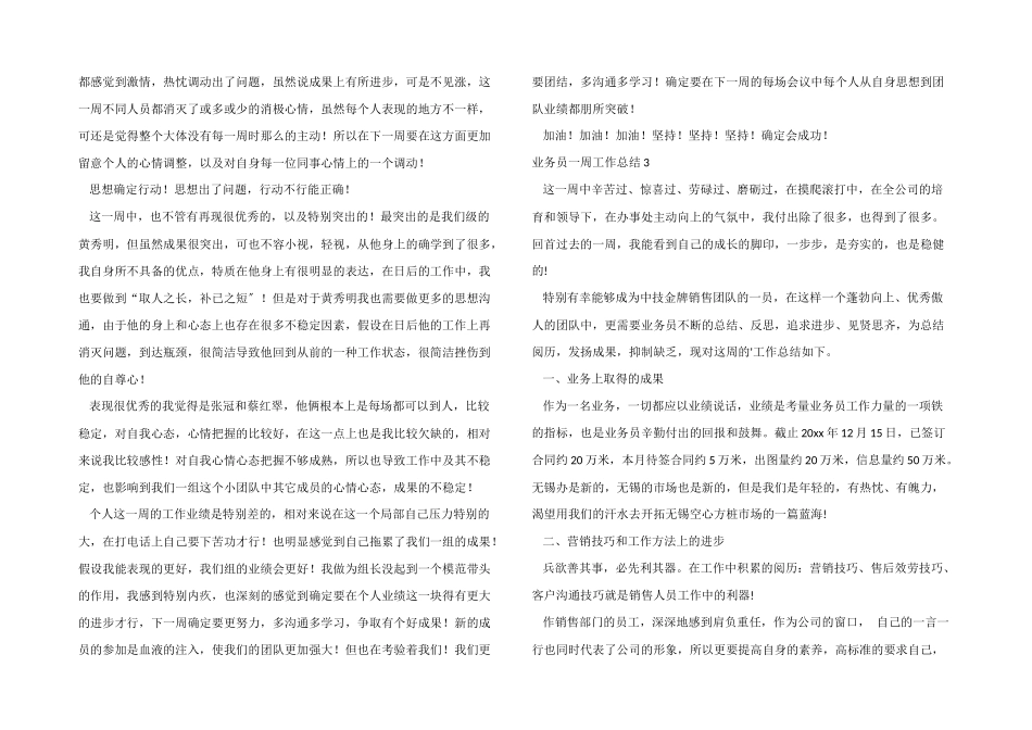 业务员一周工作总结_第2页