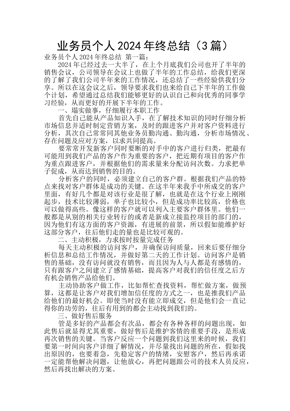业务员个人2024年终总结_第1页