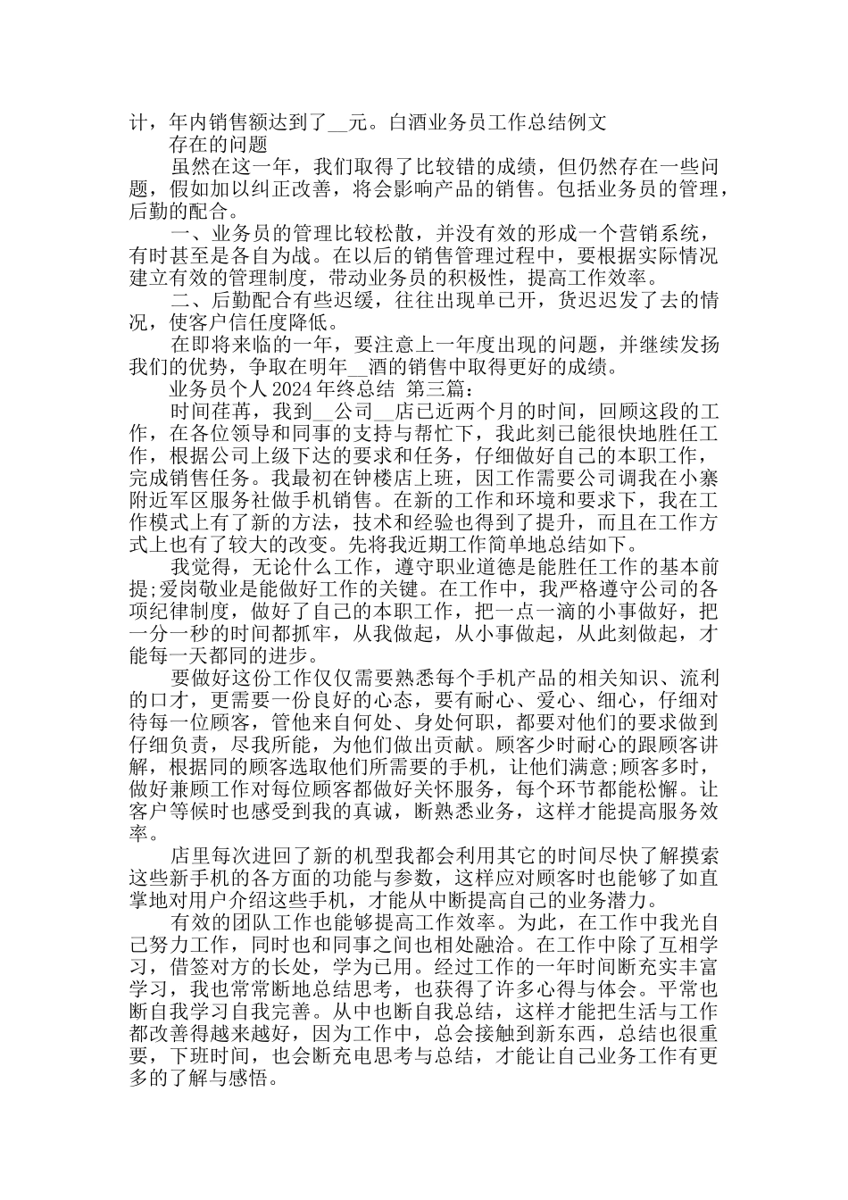业务员个人2024年终总结_第3页
