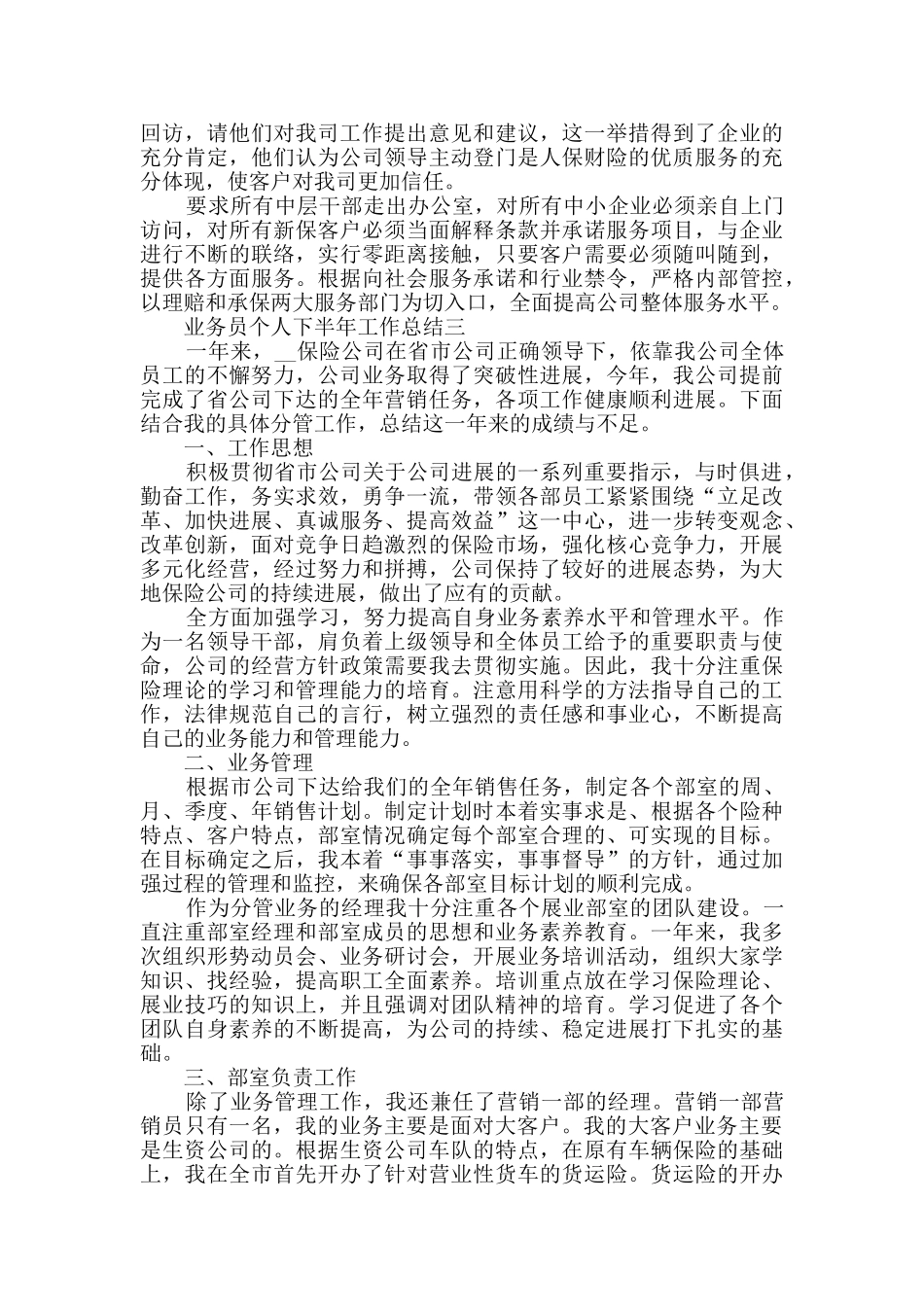 业务员个人下半年工作总结范文_第3页