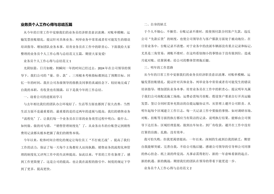 业务员个人工作心得与总结五篇_第1页