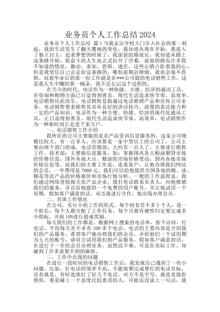 业务员个人工作总结2024