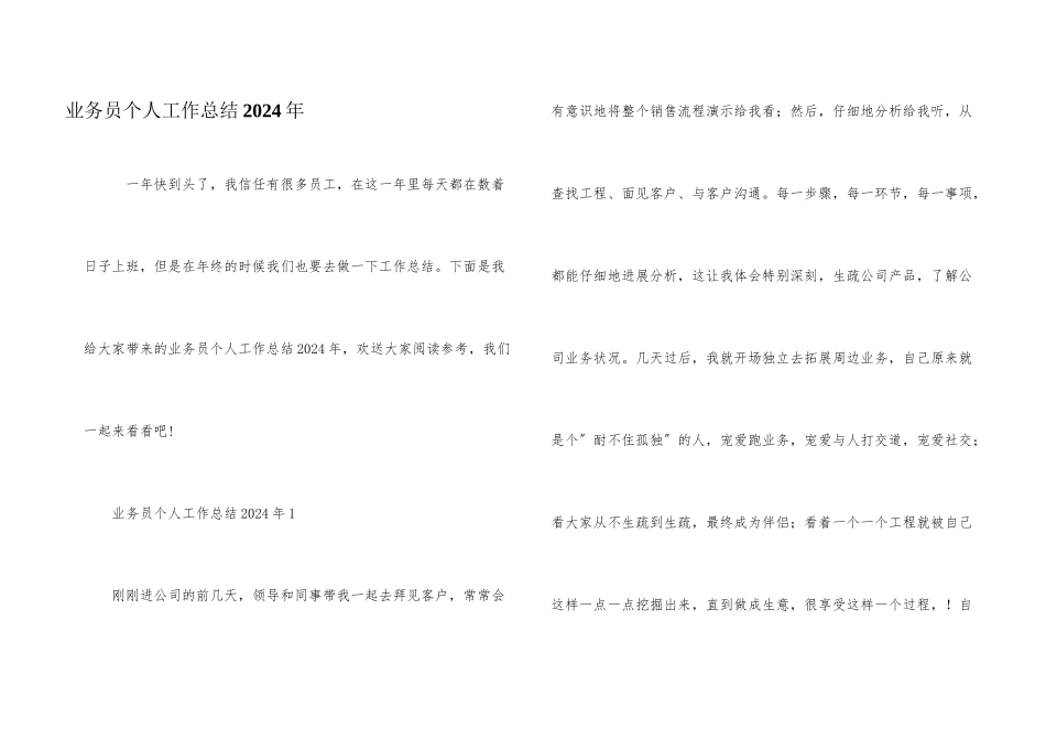 业务员个人工作总结2024年_第1页