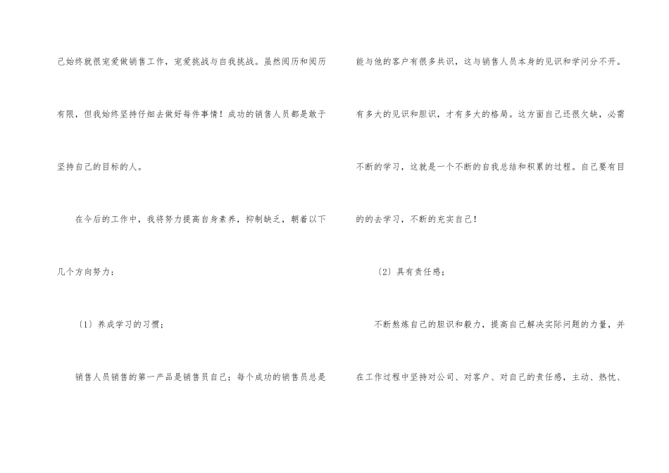 业务员个人工作总结2024年_第2页