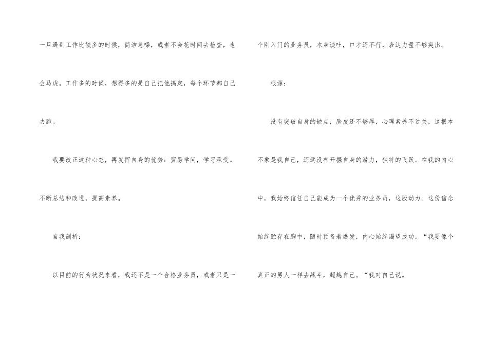 业务员个人工作总结五篇_第3页