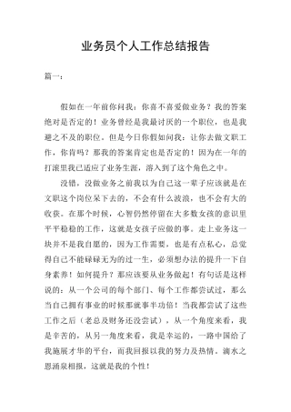 业务员个人工作总结报告