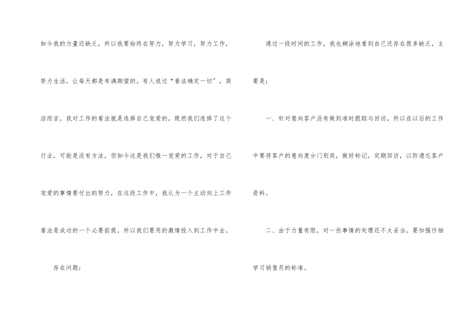 业务员个人工作总结锦集5篇_第2页