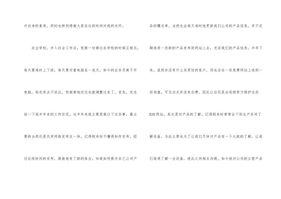 业务员个人工作总结集锦八篇_第2页