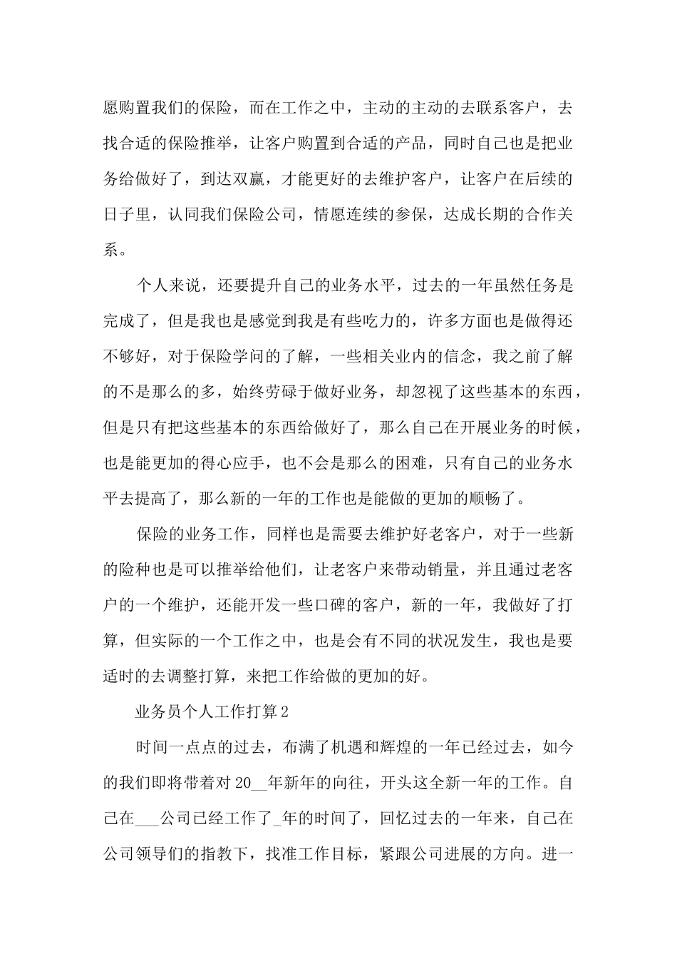 业务员个人工作计划_第2页