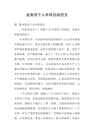 业务员个人年终总结范文