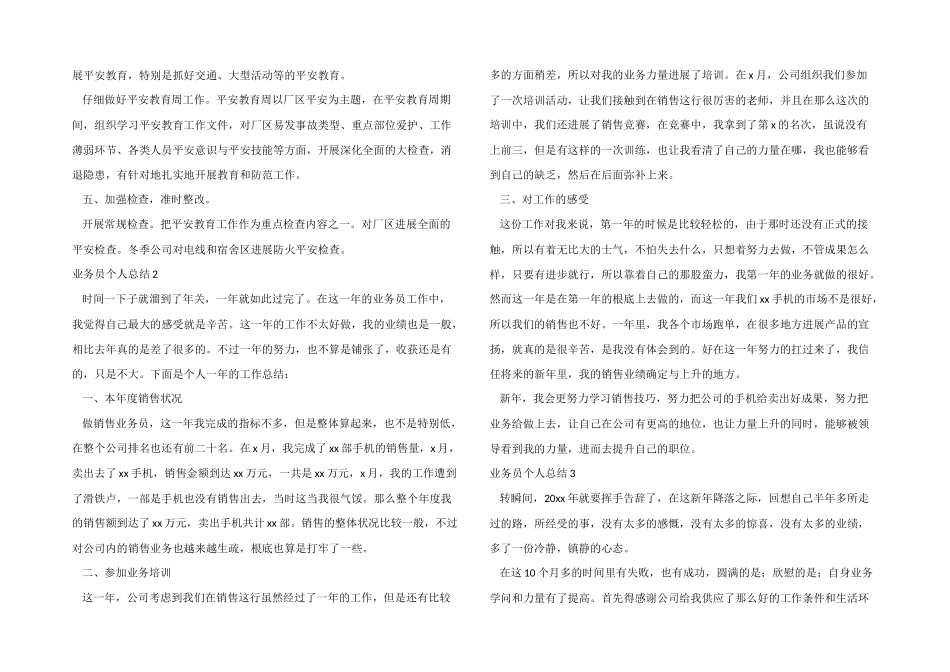 业务员个人总结_第2页