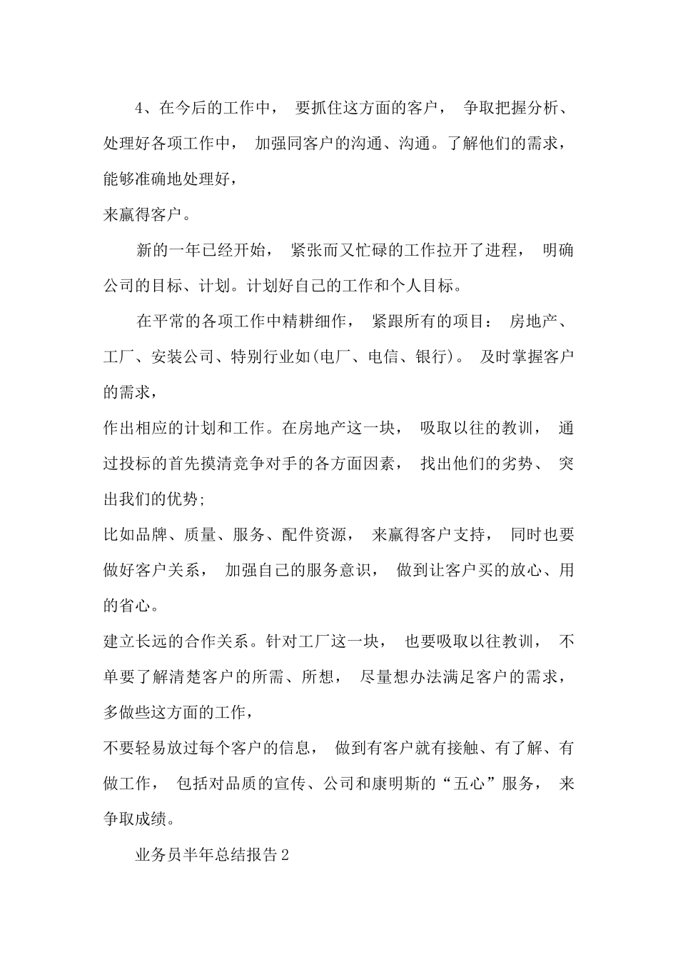 业务员半年总结报告_第2页