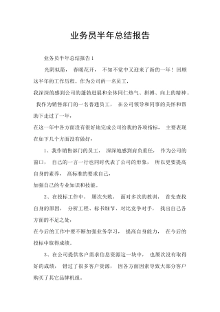 业务员半年总结报告