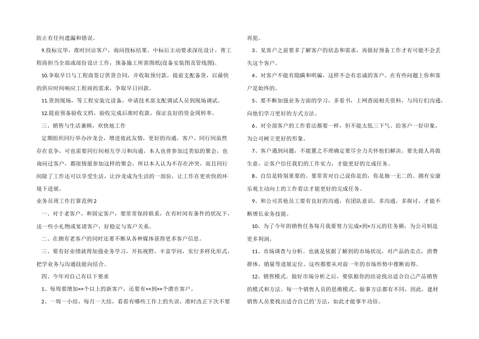 业务员周工作计划范例_第2页
