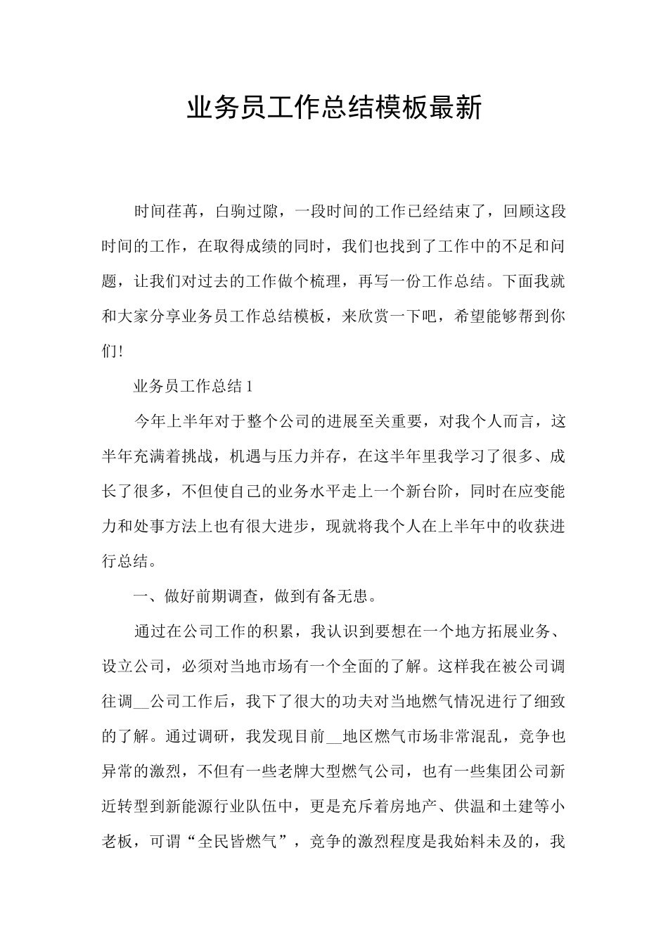 业务员工作总结模板最新_第1页