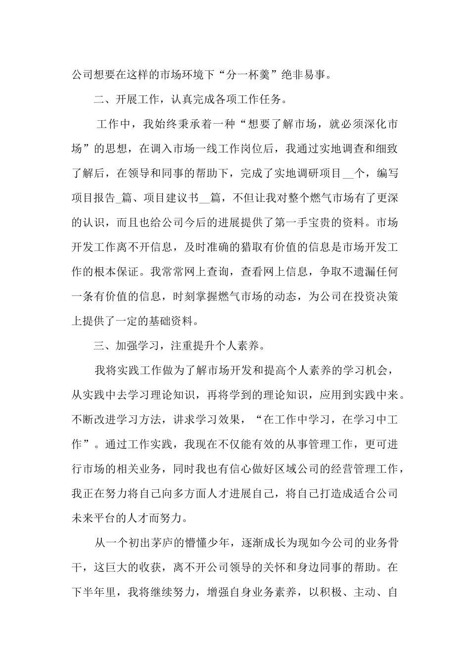 业务员工作总结模板最新_第2页