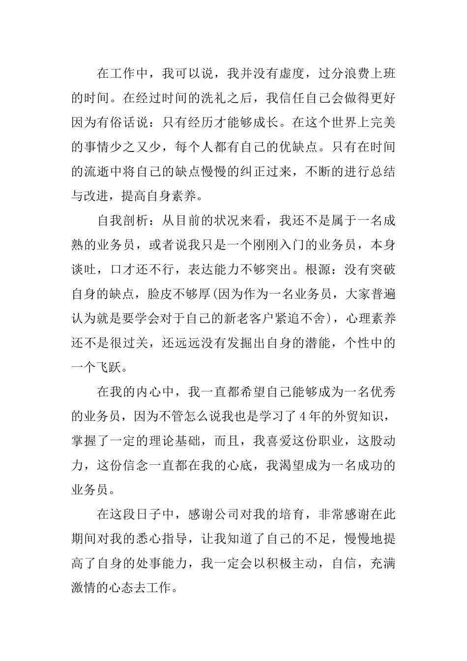 业务员工作总结范文_第2页